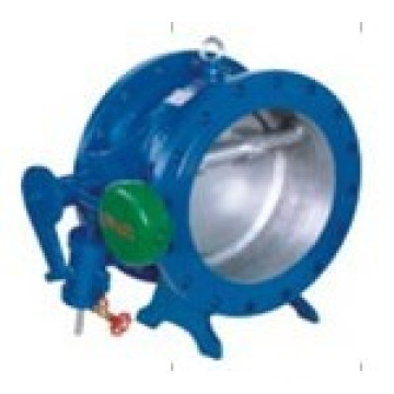 Title Disc Butterfly Type Check Valve